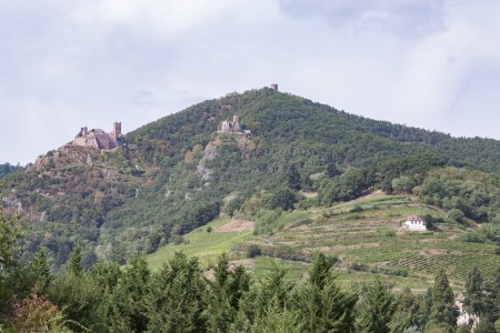 Overal op de wijn route zijn kastelen, forten en torens te zien